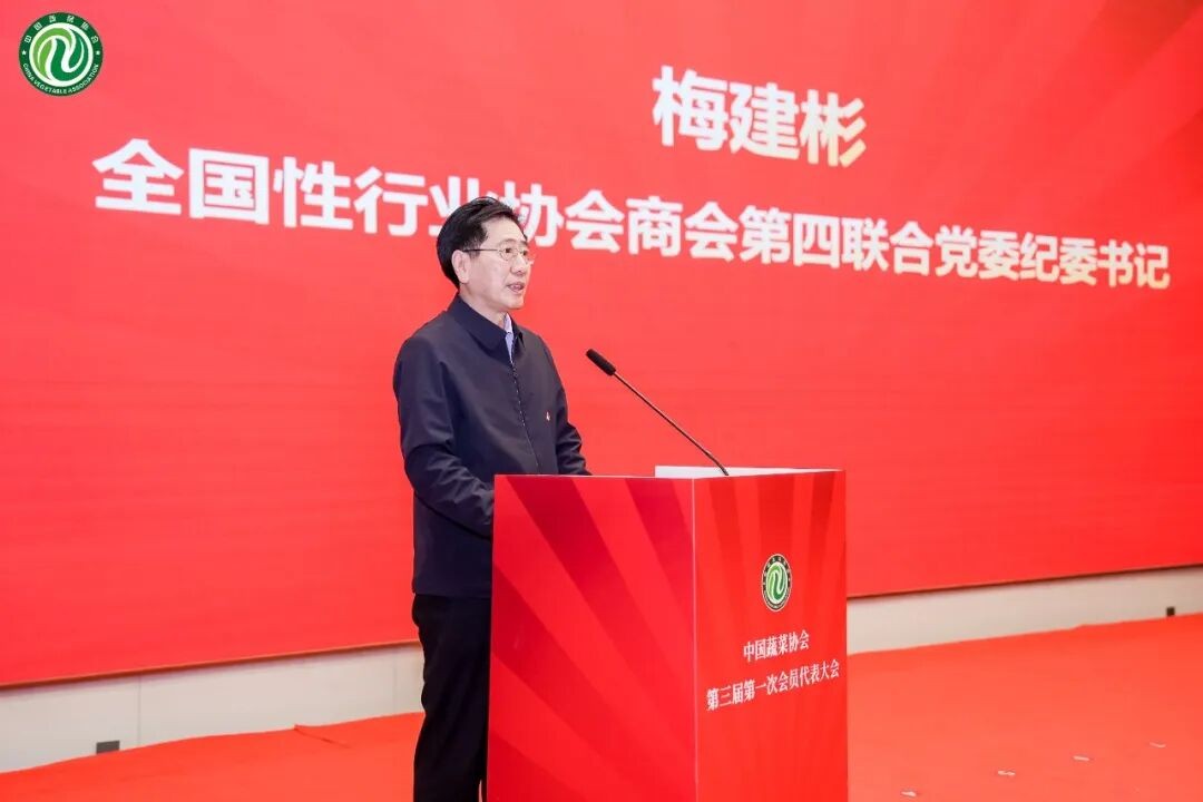 1773646379946474.jpg 2.jpg