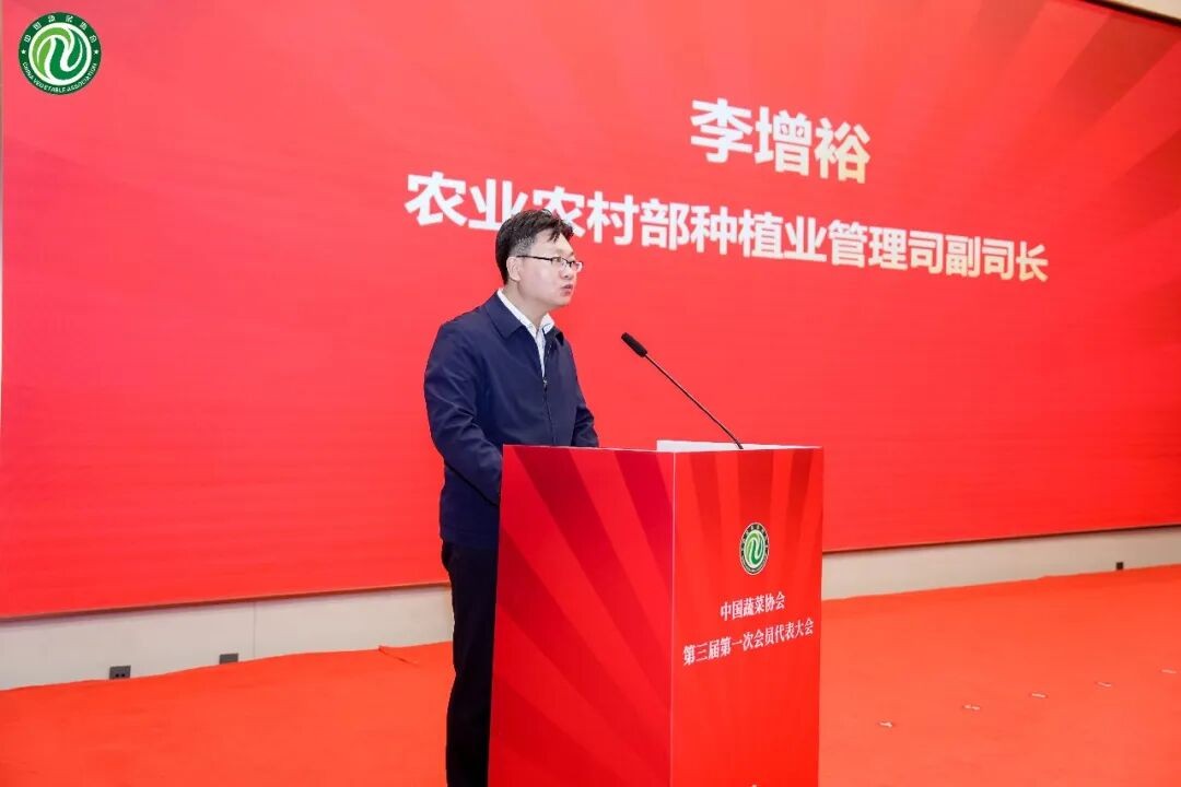 1773646572278210.jpg 6.jpg