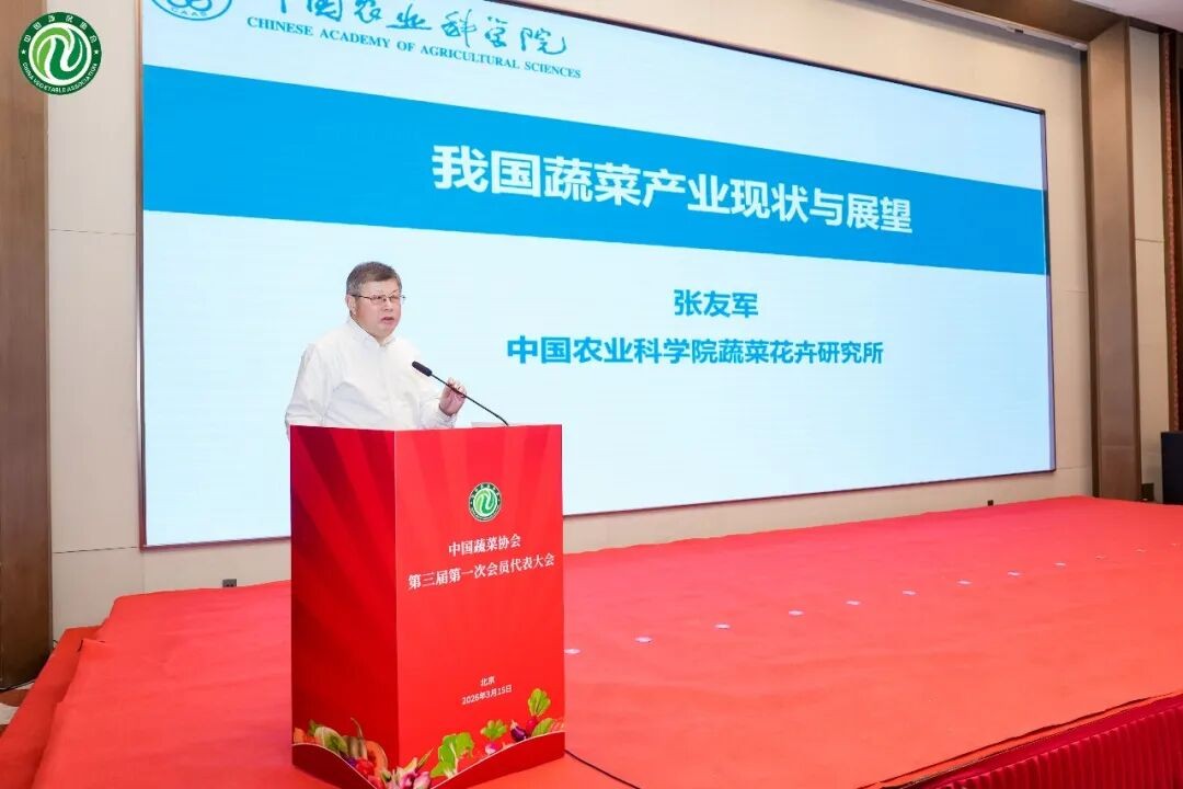 1773646721195356.jpg 9.jpg