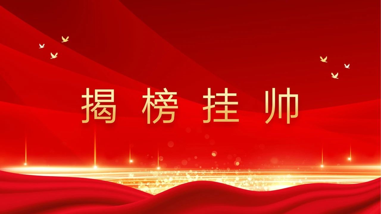 揭榜挂帅.jpg